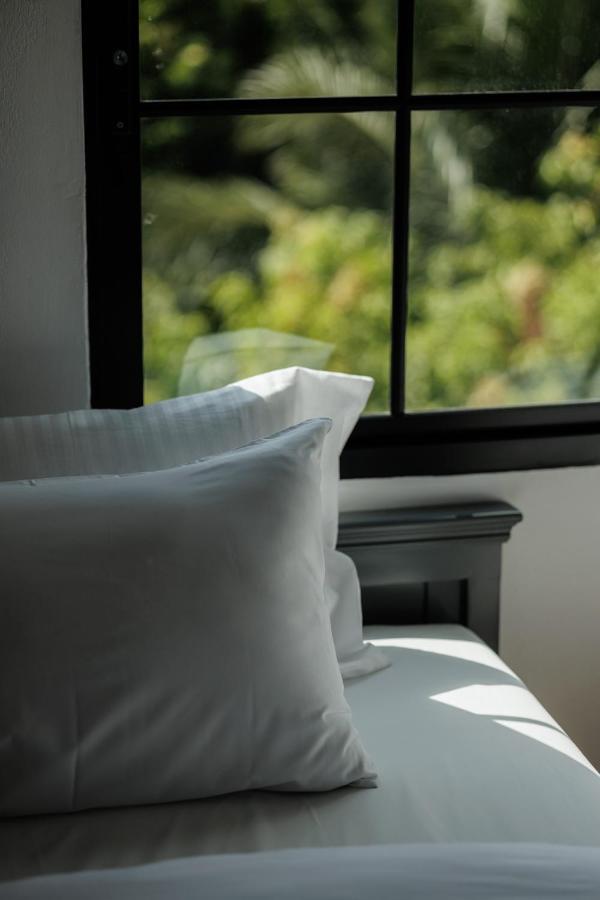 ที่พัก Casa Luna